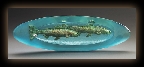 BucquetCeladonOvalSalmon