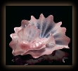 ChihulyCherryBlossomPinkPersian1
