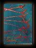 ChihulyMilleFioreDrawing1
