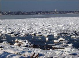 IcyHarbor