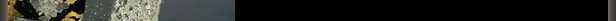 item1