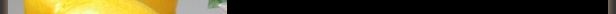 item1