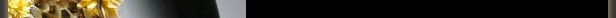 item1