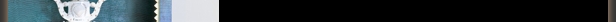 item1