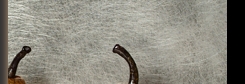 item1