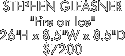 STEPHEN GLEASNER