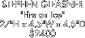 STEPHEN GLEASNER
