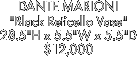 DANTE MARIONI