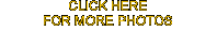 CLICK HERE