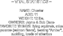 ~ VITAL STATISTICS ~