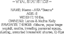 ~ VITAL STATISTICS ~