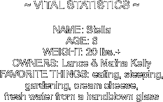 ~ VITAL STATISTICS ~
