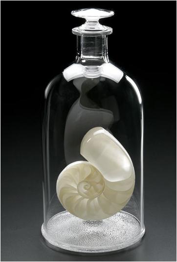 PetrovicNautilusPreserve
