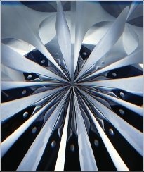 RiesBouquetOfLightdetail