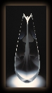 RiesGuardian2