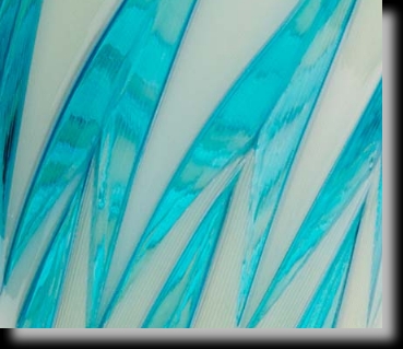 SKBirdsDetail