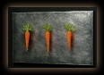 Violette3Carrots07