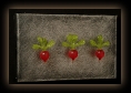 Violette3Radishes07