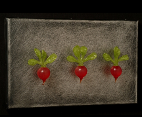 Violette3Radishes07