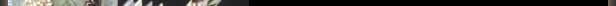 item1